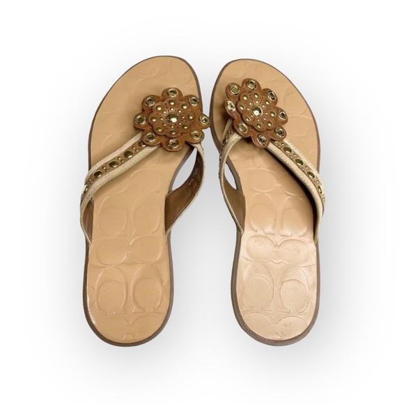 new Coach ❃ Kelby Flower Hardware Sandals ❃ Latte Leather Gold Hardware 8.5M - Picture 11 of 16